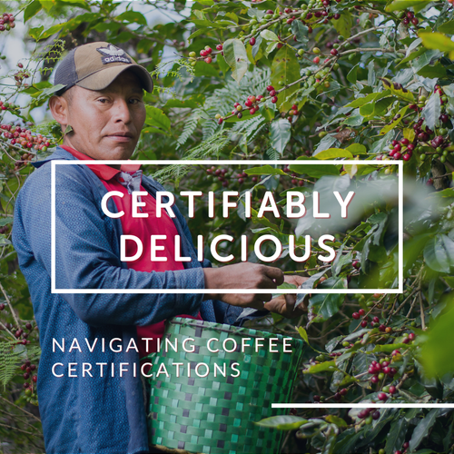 Certifiably Delicious: Navigating Coffee Certifications